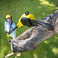 Best Tree and Shrub Care  in Summit Hill, PA