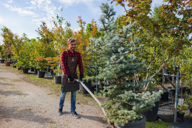 Best Tree Maintenance Programs  in Summit Hill, PA