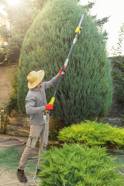 Best Sod Installation  in Summit Hill, PA