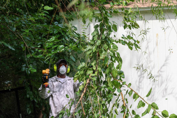 Best Arborist Consultation Services  in Summit Hill, PA