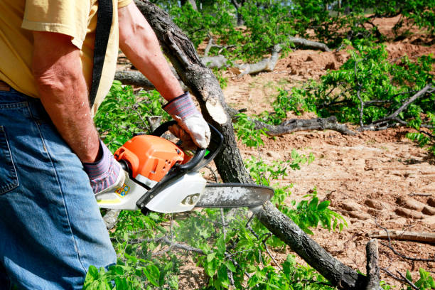 Landscape Design and Installation in Summit Hill, PA
